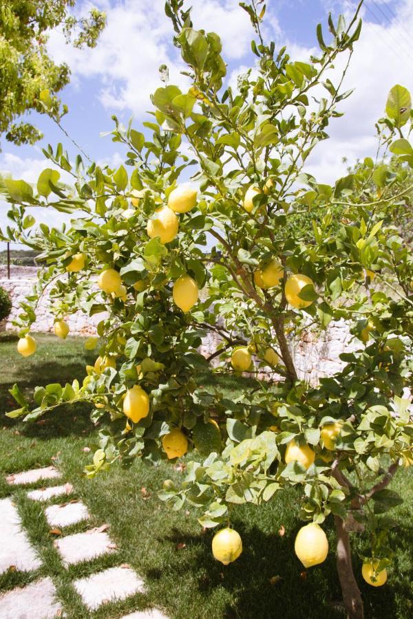 Casa Azzurra Ostuni Bed & Breakfast ภายนอก รูปภาพ